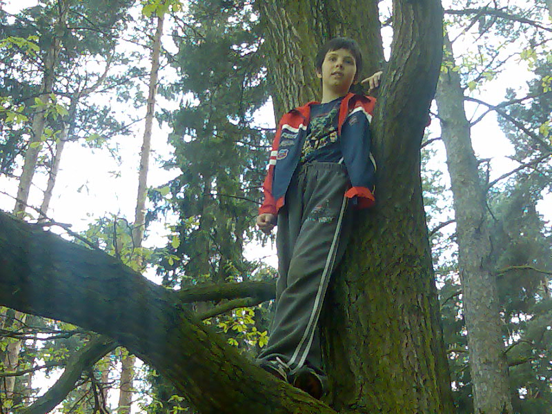 Tarzan.jpg