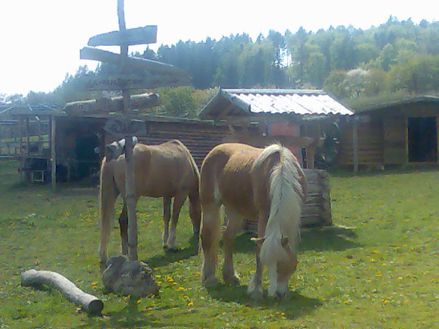 Obraz012.jpg